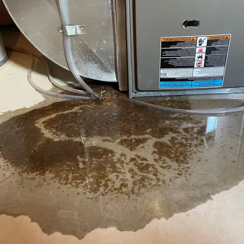 Pipe Burst and Leak Restoration in Garfield, NJ