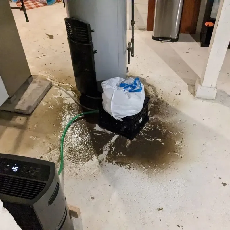 Sewage Backup Cleanup Service in Garfield, NJ